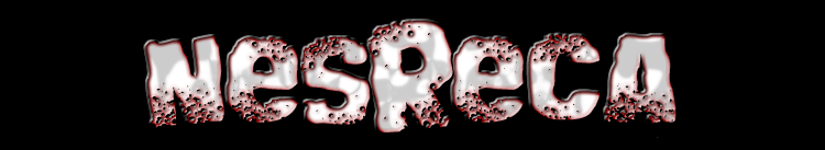 nesreca header